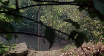 A Quiet Place in the Country (1968) download