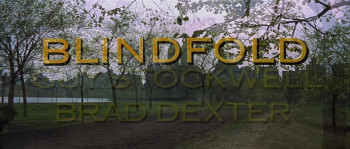 Blindfold (1966) download
