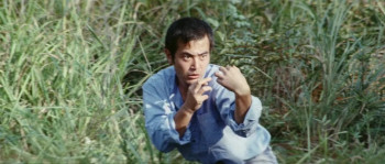 Karate Killer (1973) download