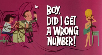 Boy, Did I Get a Wrong Number! (1966) download