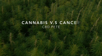 Cannabis vs. Cancer (2020) download