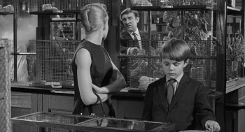 Children of the Damned (1964) download