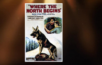 Clash of the Wolves (1925) download