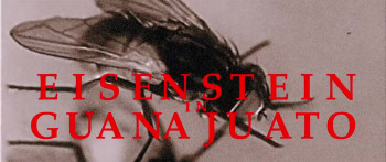 Eisenstein in Guanajuato (2015) download