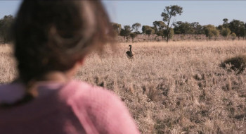 Emu Runner (2019) download