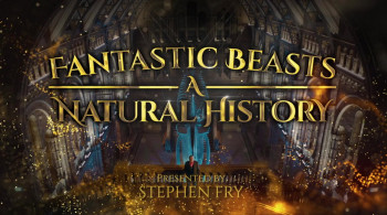 Fantastic Beasts: A Natural History (2022) download