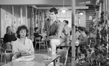 Friends and Neighbours (1959) download