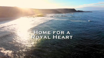 A Royal Seaside Romance (2022) download