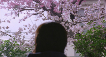 Honey and Clover (2006) download