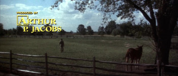 Huckleberry Finn (1974) download