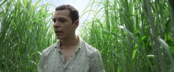 In the Tall Grass (2019) download