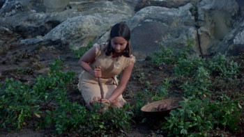 Island of the Blue Dolphins (1964) download