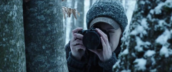 The Ice Forest (2014) download