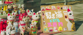 Laughing Lucky Cats (2017) download