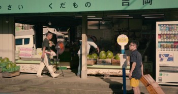 Neko Atsume House (2017) download