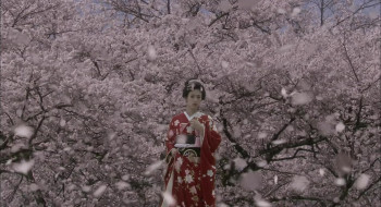 Princess Sakura (2013) download