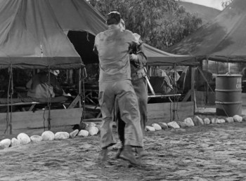 Sands of Iwo Jima (1950) download