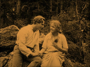 Song of the Scarlet Flower (1919) download