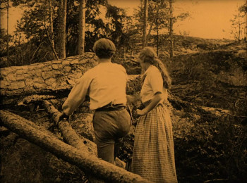 Song of the Scarlet Flower (1919) download