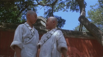 Tai-Chi Master (1993) download