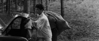 The Boy in the Tree (1961) download