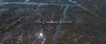 The Crickets Dance (2020) download