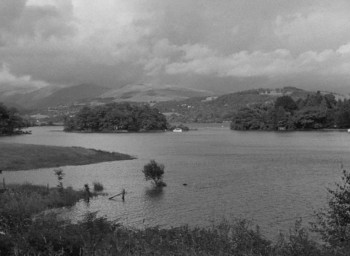 The House Across the Lake (1954) download