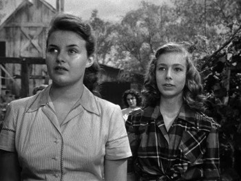 The Member of the Wedding (1952) download