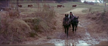 The Reivers (1969) download