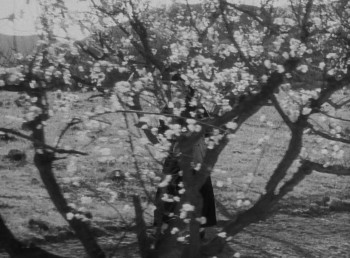 The Song of Songs (1933) download