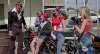 The Young Cycle Girls (1977) download