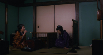 Two Portraits of MIYAGINO (2010) download