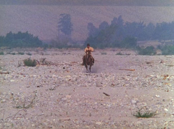 Wild Women (1970) download